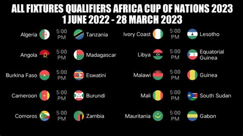 africa cup of nations 2023 wiki